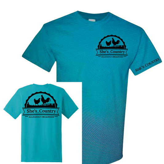 Allegedly Organized T-shirt 2x-4x