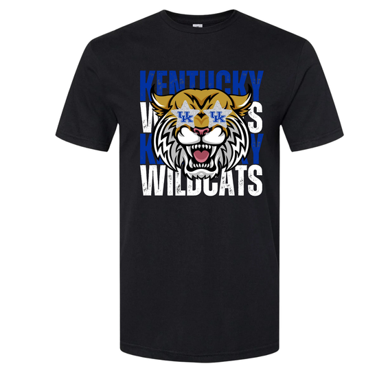 UK KY WILDCATS